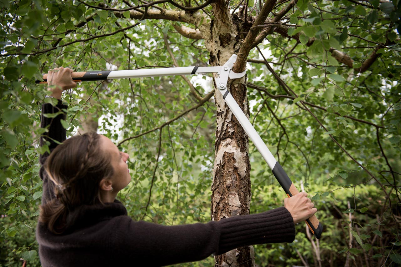 Увеличенная фотография Сучкорез Fiskars большой плоскостной Quantum
